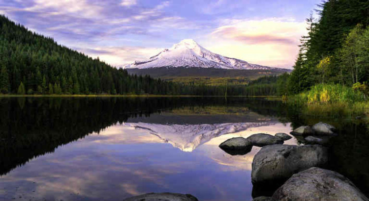 oregon cannabis