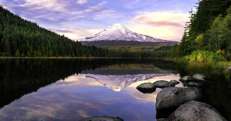 oregon cannabis