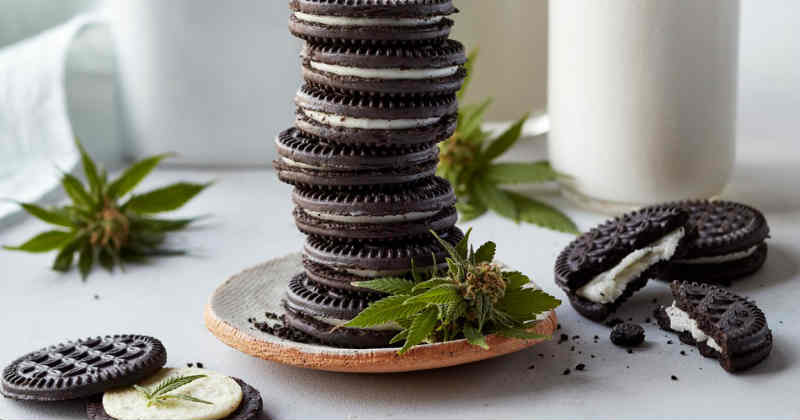 oreo cannabis