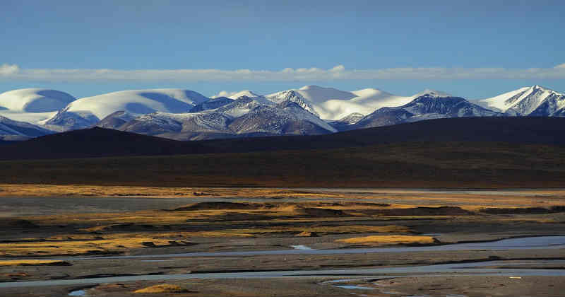 plateau tibétain cannabis