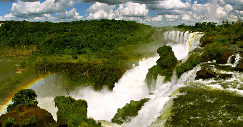 Licences de cannabis médical au Paraguay