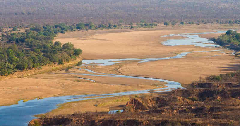 zimbabwe cannabis