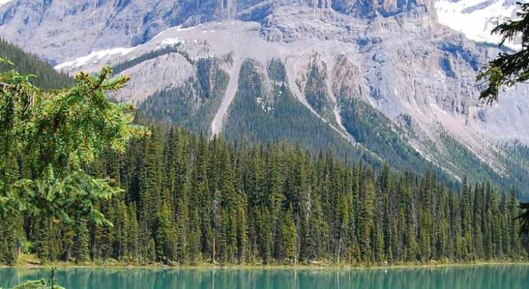 Canada le cannabis légal est 80% plus cher que le marché noir