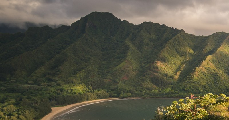 Hawaï décriminalise la possession de petites quantités de cannabis