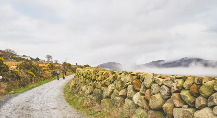 Irlande légalisation du cannabis à usage médical