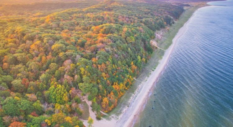 Le Michigan prend des mesures d'urgence pour réguler le marché du cannabis récréatif