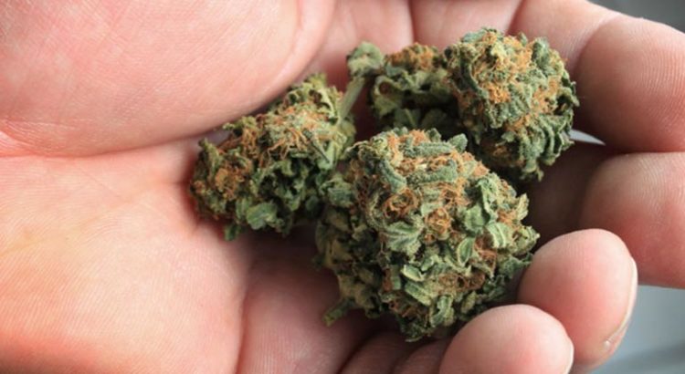 Cannabis médical en Allemagne