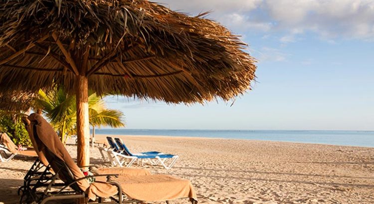 Vacances Weed-Friendly