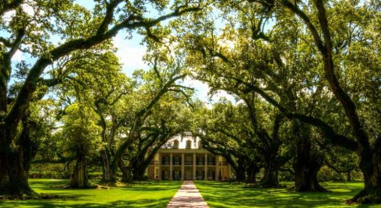 En Louisiane, les ventes de cannabis médical vont bientôt être effective