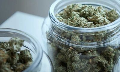 Etats-Unis : la DEA annonce des mesures pour faciliter les recherches sur le cannabis
