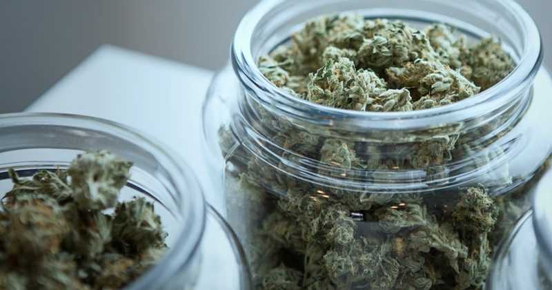 Etats-Unis : la DEA annonce des mesures pour faciliter les recherches sur le cannabis