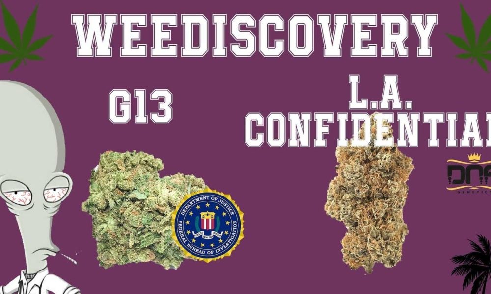 G13 et LA Confidential