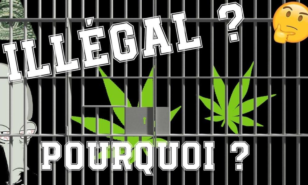 Pourquoi le cannabis est illégal
