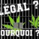 Pourquoi le cannabis est illégal