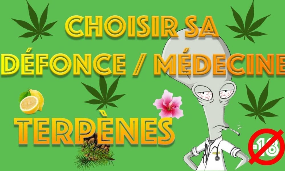 Que sont les terpènes