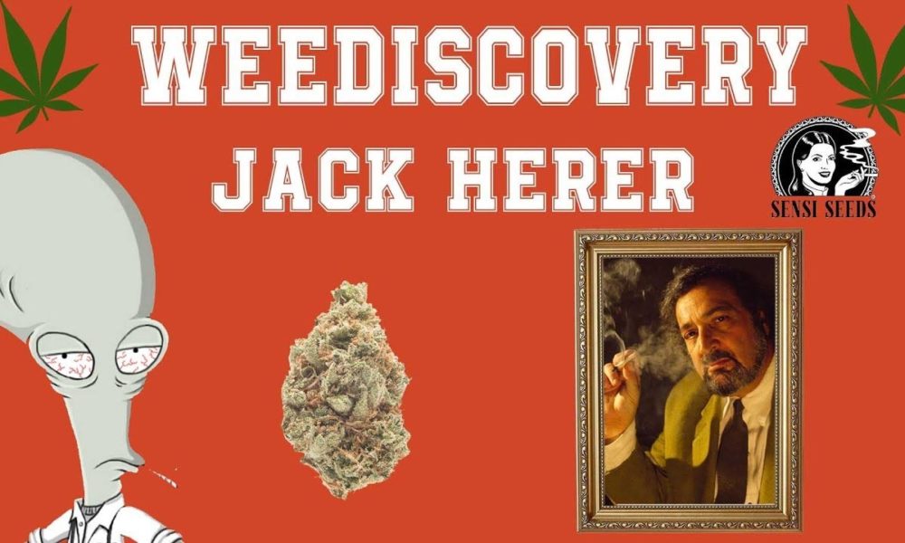 Qui est Jack Herer