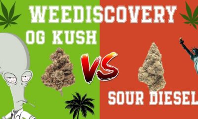 OG Kush et Sour Diesel