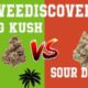 OG Kush et Sour Diesel