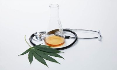 Cannabis en remplacement des cannabinoïdes