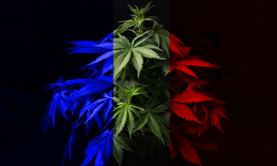Cannabis médical en France