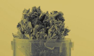 Cannabis médical au Wisconsin