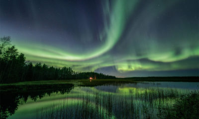 Cannabis en Finlande