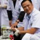 Ministre de la Santé thaïlandais et du cannabis médical