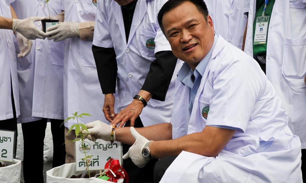 Ministre de la Santé thaïlandais et du cannabis médical