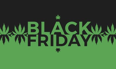 Black Friday de la weed