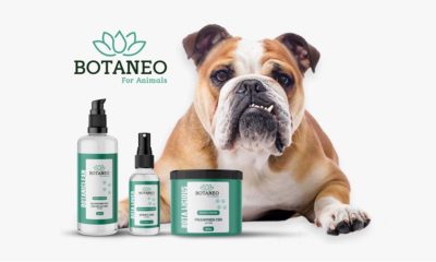 Botaneo CBD pour animaux