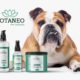 Botaneo CBD pour animaux