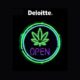 Deloitte et cannabis