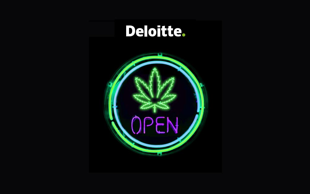 Deloitte et cannabis