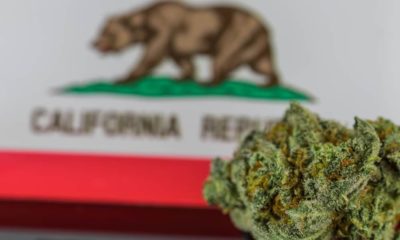 Taxes sur le cannabis en Californie