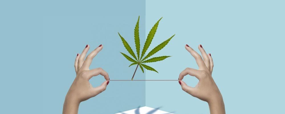 Médias du cannabis en difficulté