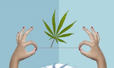 Médias du cannabis en difficulté