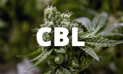 Le cannabicyclol (CBL)