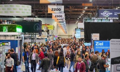 Evenements du cannabis en 2020