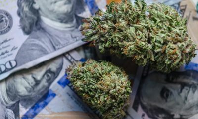 3 millions dollars cannabis en Illinois