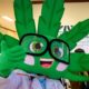 Clinique cannabis en Thaïlande