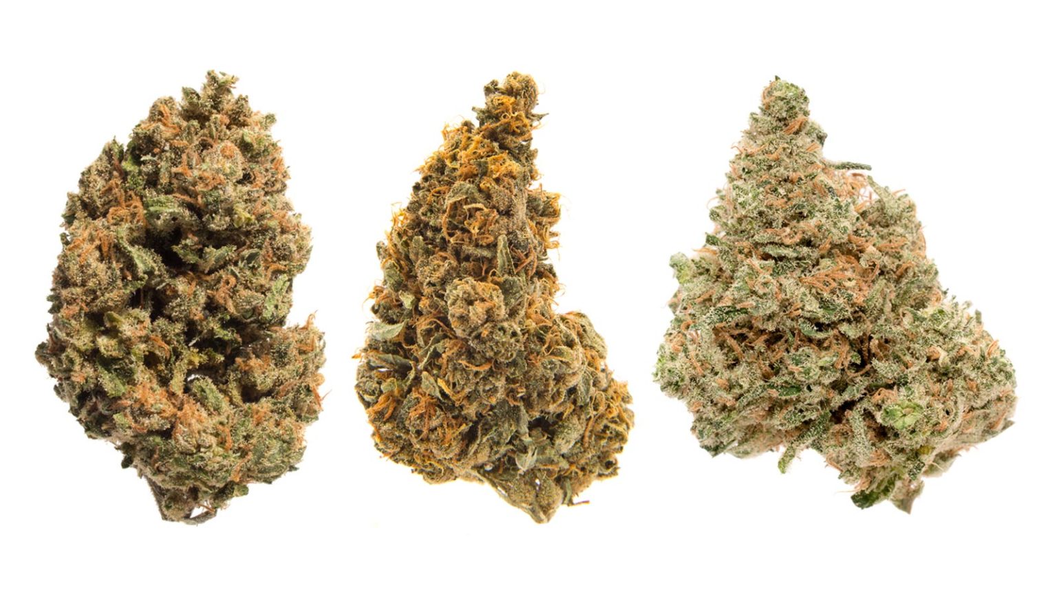 6 variétés de cannabis pleines de THCV - Newsweed