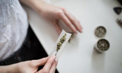 Faux souvenirs et cannabis