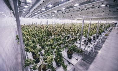 Canopy Growth en 2020