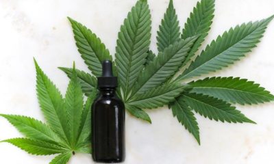 CBD réduit l'inflammation du THC