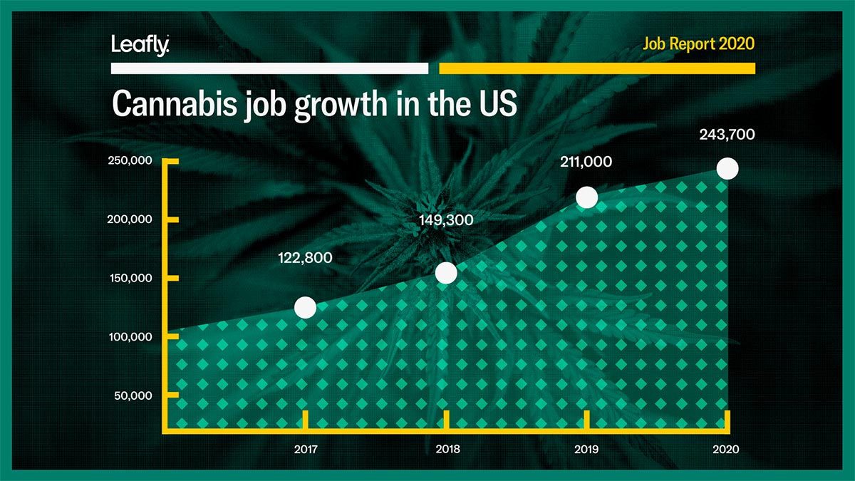 Croissance des emplois du cannabis aux Etats-Unis