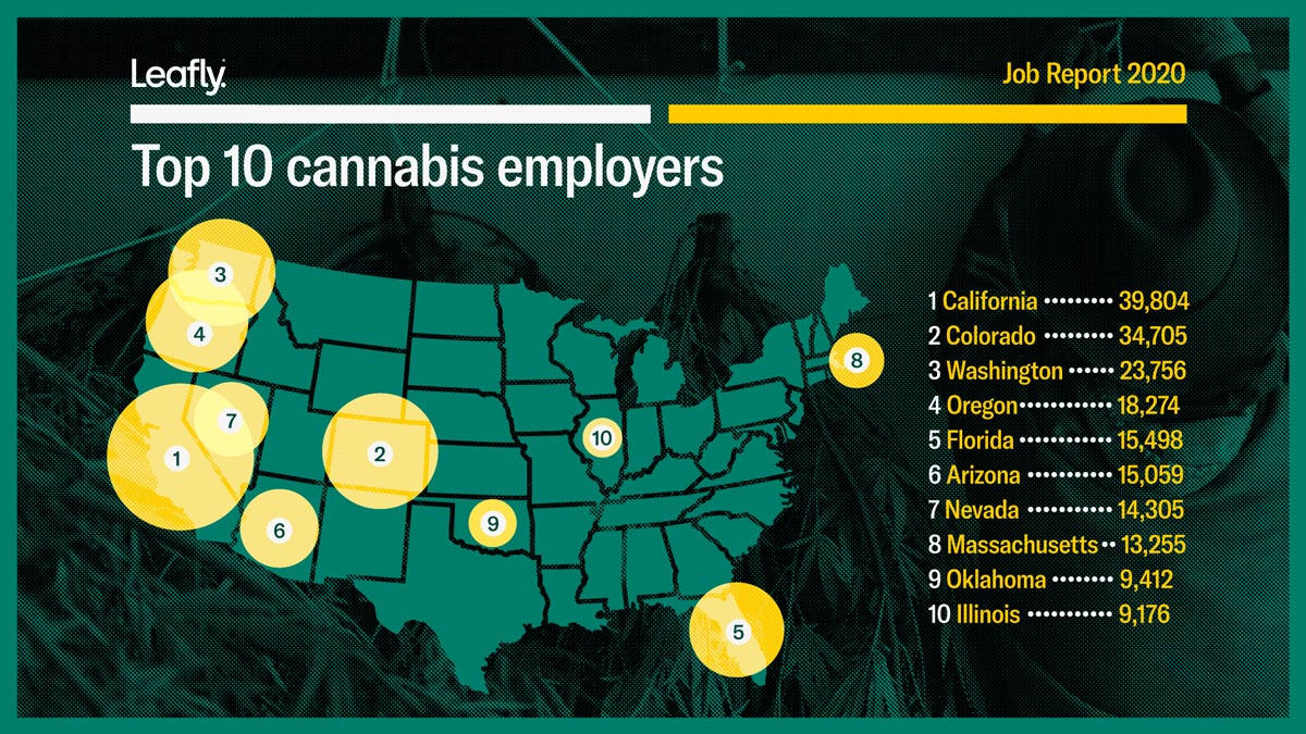 Employeurs du cannabis aux USA