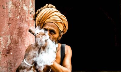Légalisation du cannabis au Népal