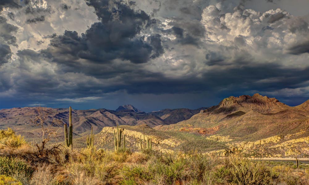 Cannabis en Arizona