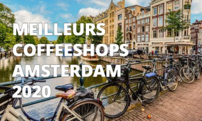 Meilleurs coffeeshops d'Amsterdam