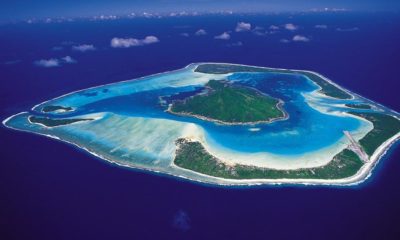 Cannabis médical à Tahiti